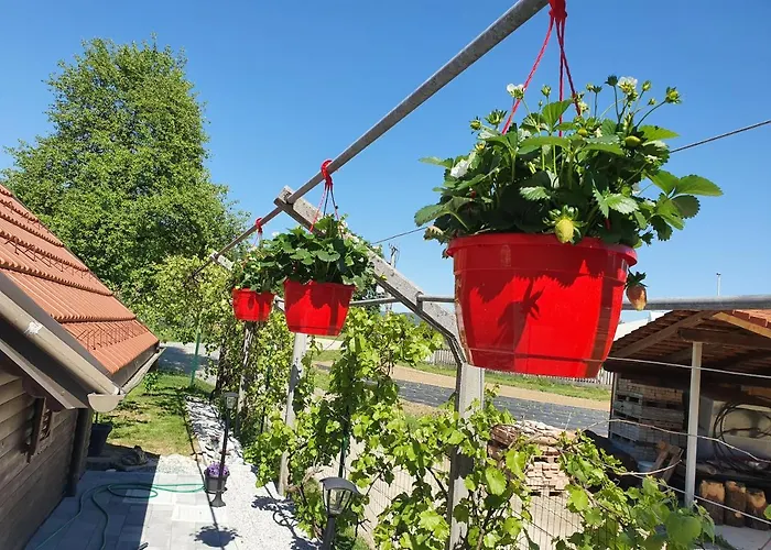 Charming Tiny House "Pr Basc" In Ljubljana With Cozy Terrace And Barbecue Area